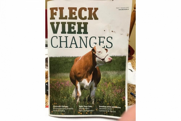 Fleckvieh Changes Magazine